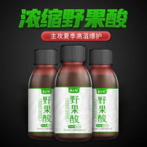 Zhou Sangong wild fruit acid fishing small medicine fish bait wild fishing black pit crucian carp dens additive lure fish formula