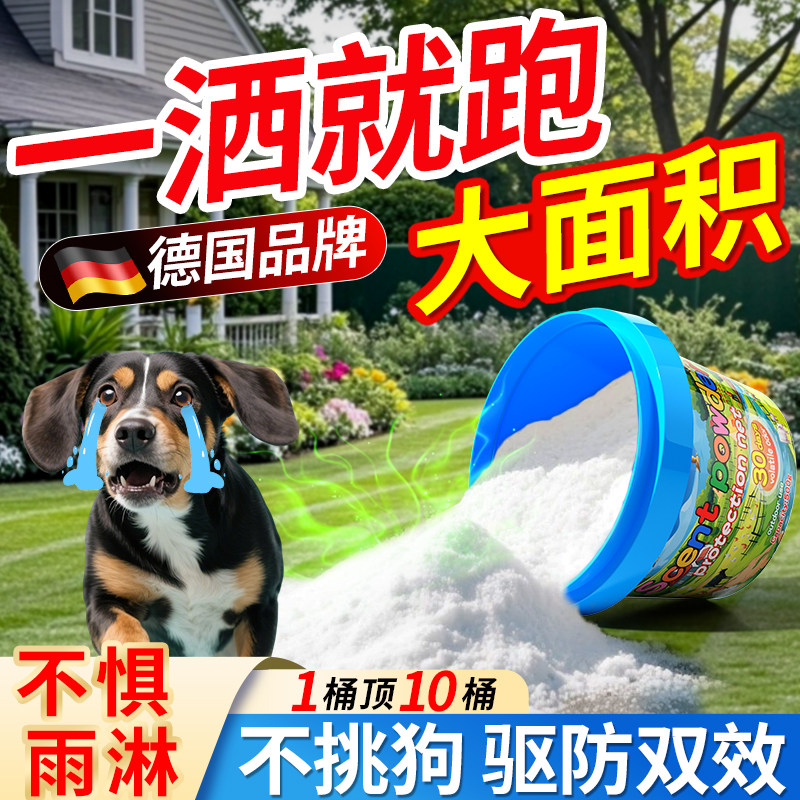 如何有效地驱赶野狗并防止它们乱拉屎尿？