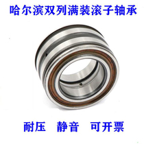 Precision full mounted cylindrical roller SL045004 SL045004 SL045005 SL045006 045007 SL045006 5008PP