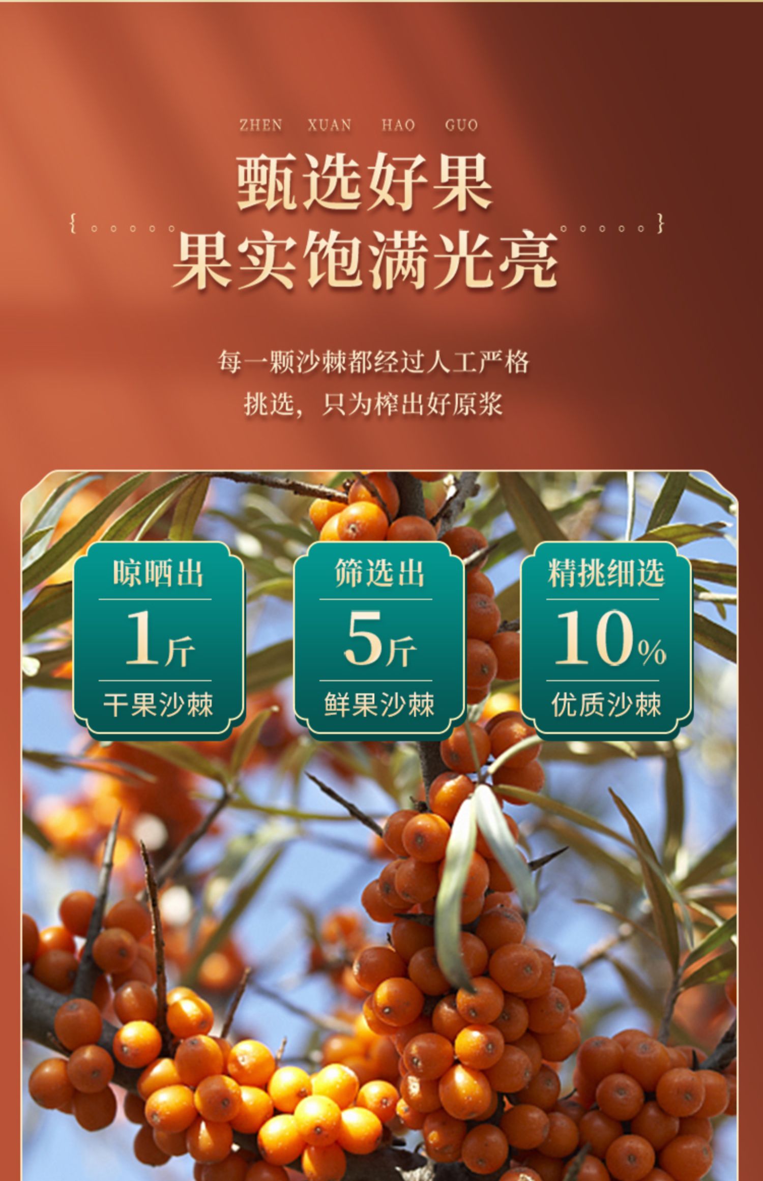 【山西吕梁特产】野生沙棘原汁180g*3瓶
