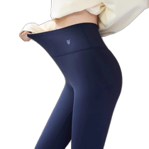 Shark pants womens outer wear autumn and winter thickened velvet high waist elastic tight leggings tummy control butt lifting Barbie yoga pants