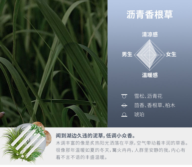 DAILY LAB 小金條車載香薰隨身香氛替換組合香錠補充裝出風口 4片/盒 琥珀粉胡椒 8款選