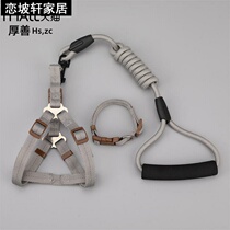 Chihuahua dog chain Bo Meibii bear Demu Zhongda iron chain dog rope rope Teddy telescopic pup