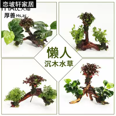 Fish tank decoration landscaping package Aquatic plants Living submerged wood rear view grass tank plants Freshwater small water banyan fish lazy people