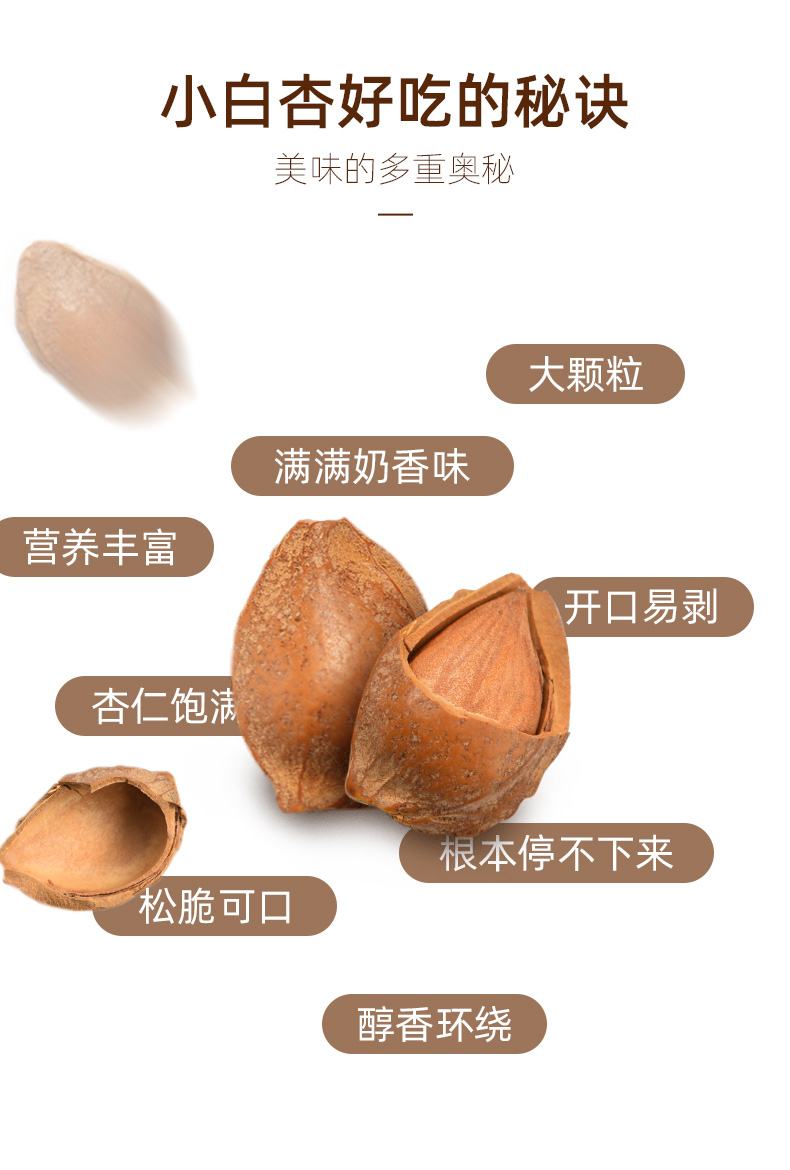 【本味诚现】小白杏坚果零食袋装100g