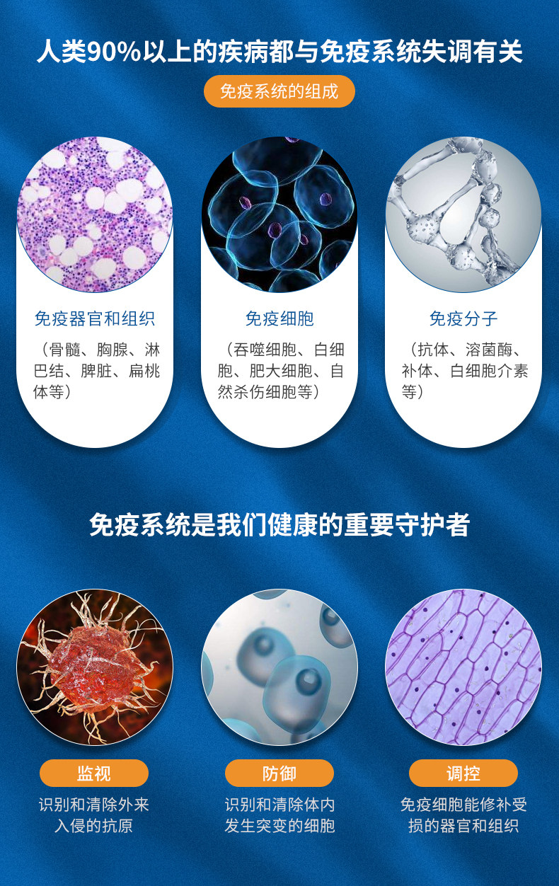 英国 perfectil 中老年人复合维生素 30片 图6