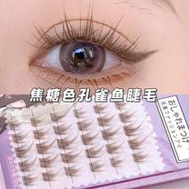 Eyelash Wish Caramel Guppy False Eyelashes Lazy Trilogy Eyelashes Mixed Pack Segmented Fairy Hair