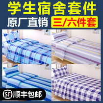 Student dormitory three-piece set Blue plaid cotton set Single school bedroom upper and lower bunk bedding six-piece set