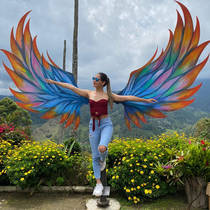 Douyin Bali Internet celebrity Wings Birds Nest same style outdoor swing angel wings floor-standing hanging chair B&B photo shoot