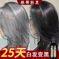 Polygonum multiflorum shampoo white hair turned black hair root turned black plant black hair liquid juvenile postpartum white hair pure white hair pure