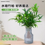 Гидропонные комары, бамбук и кипрессовый настольный настольный столик