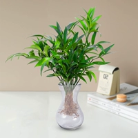 10 больших таблеток бамбукового кипариса от комаров + бутылочка с гиацинтом + кристальная грязь + жидкость