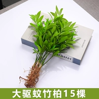 15 больших кусков бамбука и кипариса, отпугивающих комаров [без чаши] + кристальная грязь + питательный раствор