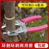 Садовое кольцо.