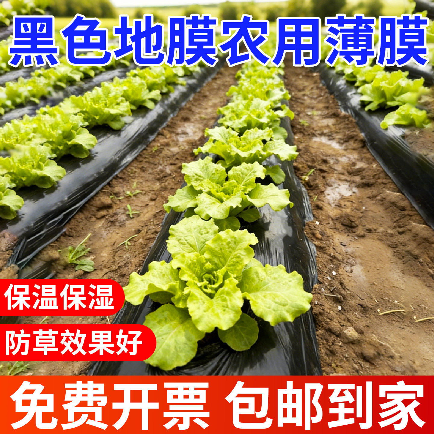 Black mulch film agricultural film black mulch film agricultural thickened anti-aging breathable mulch film plastic film weeding and heat preservation