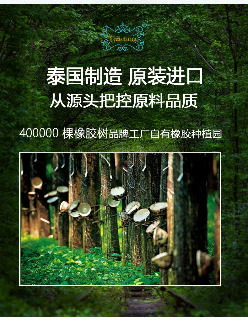 泰国原装进口  Taidina 儿童天然乳胶护颈枕 图2