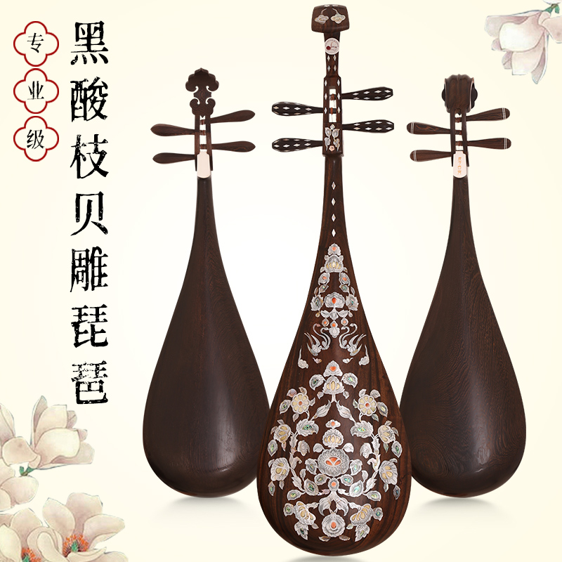 Folk pipa musical instrument mahogany black acid branch wooden chicken wings imitation Tang beginner entry test performance pipa musical instrument