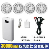 Полный набор аксессуаров, модель с четырьмя фанатами [30 000 мАч]]