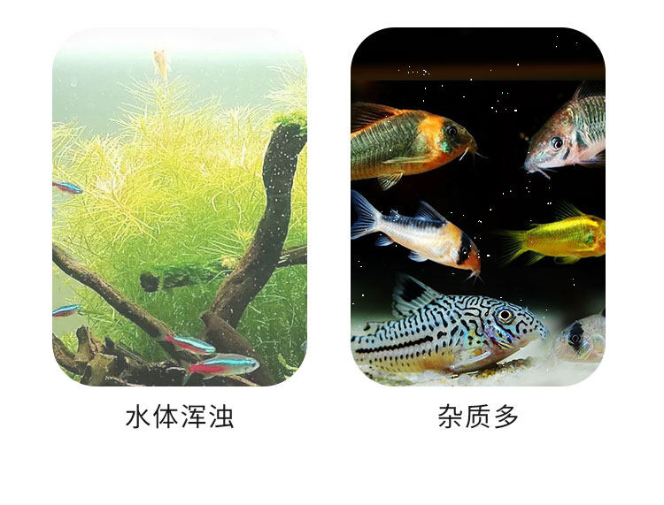Фильтровальный материал 画法几何鱼缸过滤材料培菌球细菌屋石英球科技培菌球活性炭过滤炭 Descriptive geometry