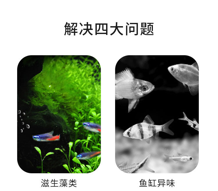 Фильтровальный материал 画法几何鱼缸过滤材料培菌球细菌屋石英球科技培菌球活性炭过滤炭 Descriptive geometry