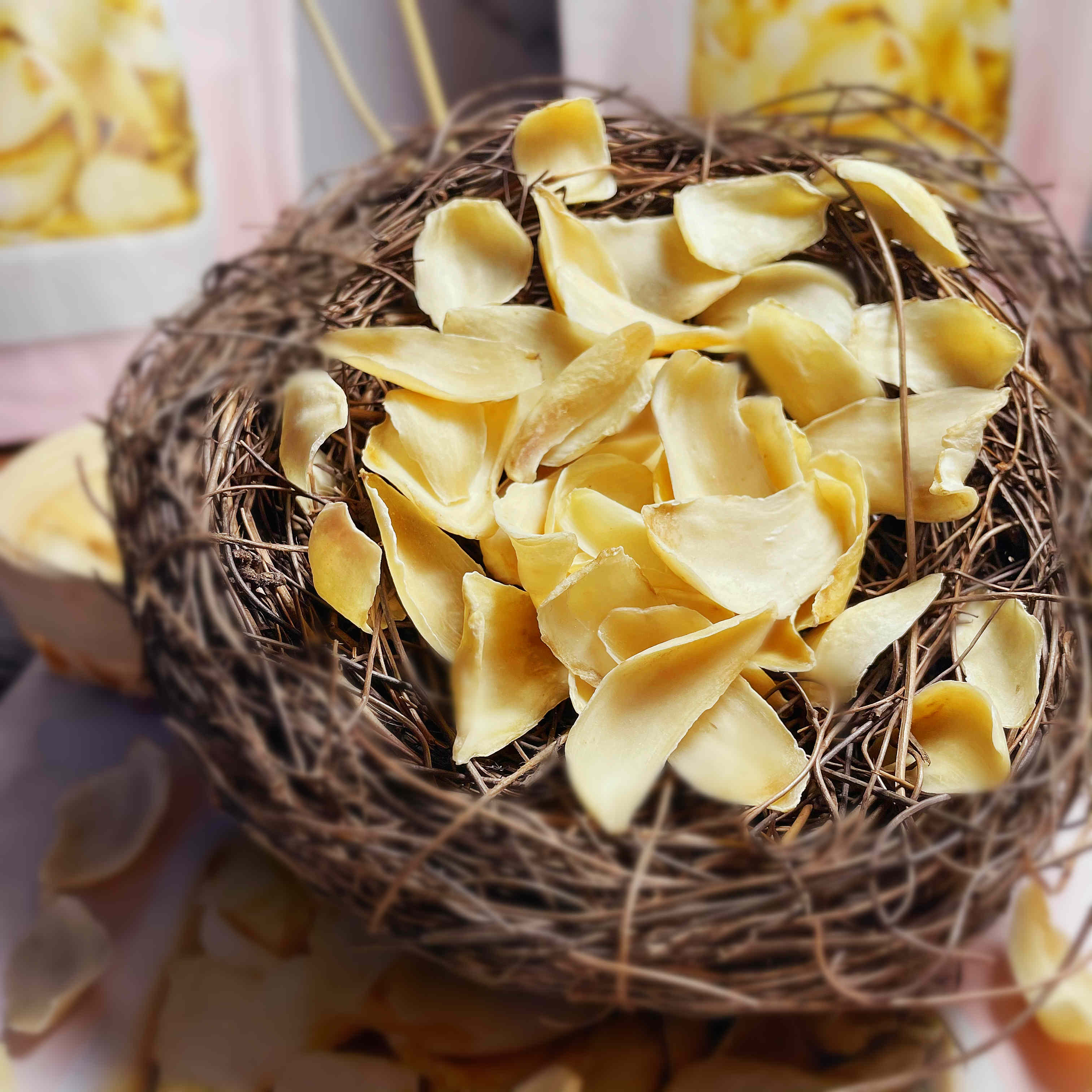 Mushrooms Ribaba Lily Dry 250g Longshan Non Lanzhou Terproduce Fresh Lilies Dry edible dry goods