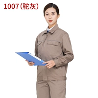 1007 серый набор