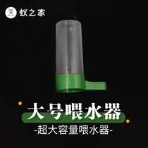 Extra Large Capacity Ant Large Water Feeder