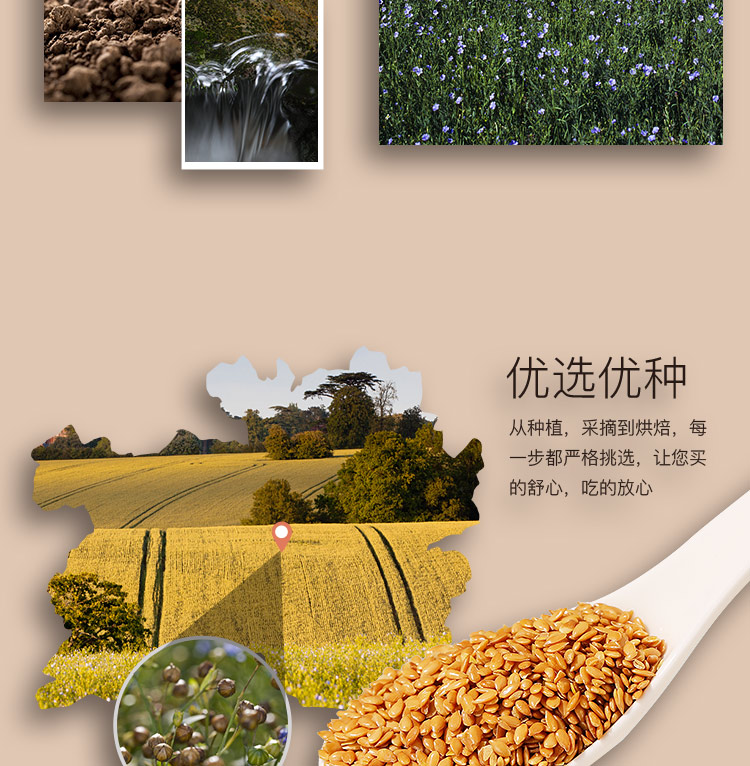 Linese Seed_05.jpg