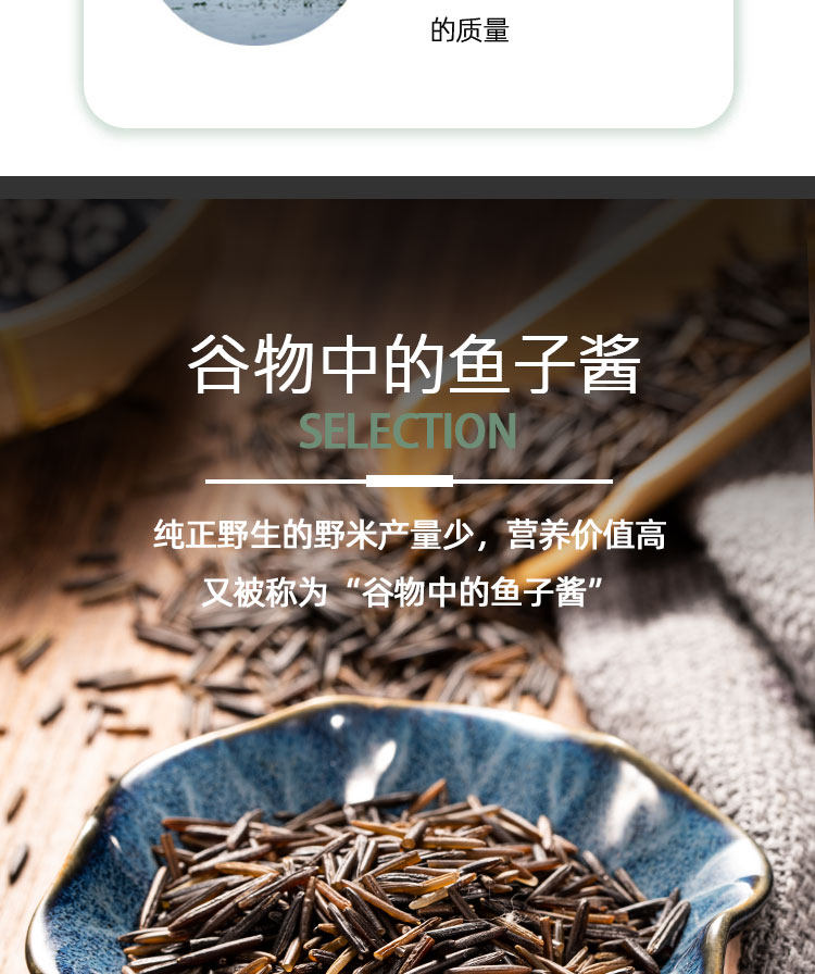 [野米_05.jpg]