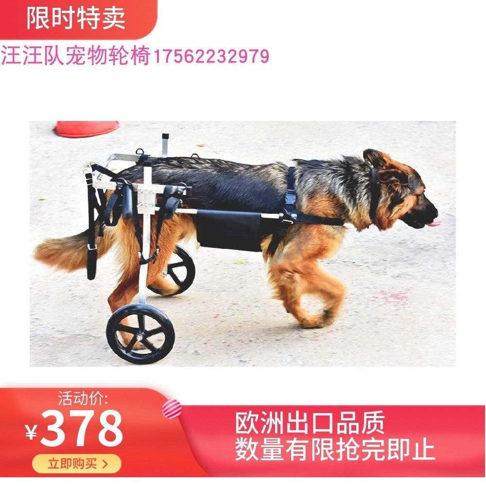 Инвалидная коляска для собак на задние лапы своими руками чертежи и фото