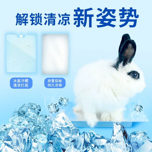 Хомяки лето во время летнего тепло охлаждения поставляют кроличьи голландские свиньи