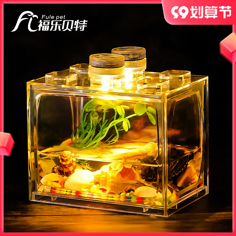 Small turtle live animal with tank feed live pet small good support dormitory Chinese tortoise tank turtle tank box