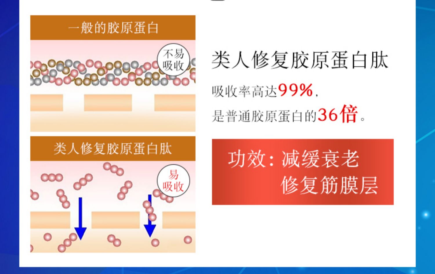 BPC日本类人肽小颜果冻2盒胶原蛋白