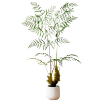 Bionic green plants living room simulated artificial trees golden monkeys Hericium ferns indoor potted plants decorative landscaping ornaments