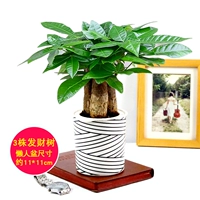 Черно -белый рисунок (Трехположенное дерево удача)