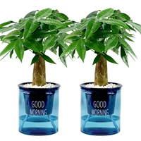 Доброе утро синее горшок