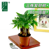 Оригинальный горшок 90#3 Дерево удачи