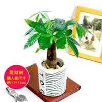 Черно -белый рисунок (одиночное дерево удачи)