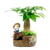 Дерево удачи Гидропонный зеленый цветок офис на рабочем столе