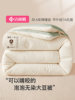 Jialiya Soybean Fiber Quilt Thickened Warm Quilt Winter Quilt Cotton Quilt Spring and Autumn Quilt Dormitory Quilt Core Autumn and Winter Quilt