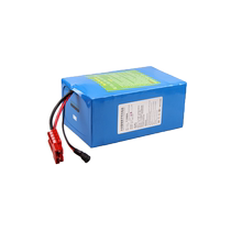 Leihu electric vehicle lithium battery 48v 20A 60v 72v large capacity ternary battery vehicle tricycle battery