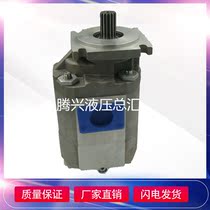 Gear oil pump CBKP-32-BFP BFH BFL original Hefei Changyuan gear oil pump