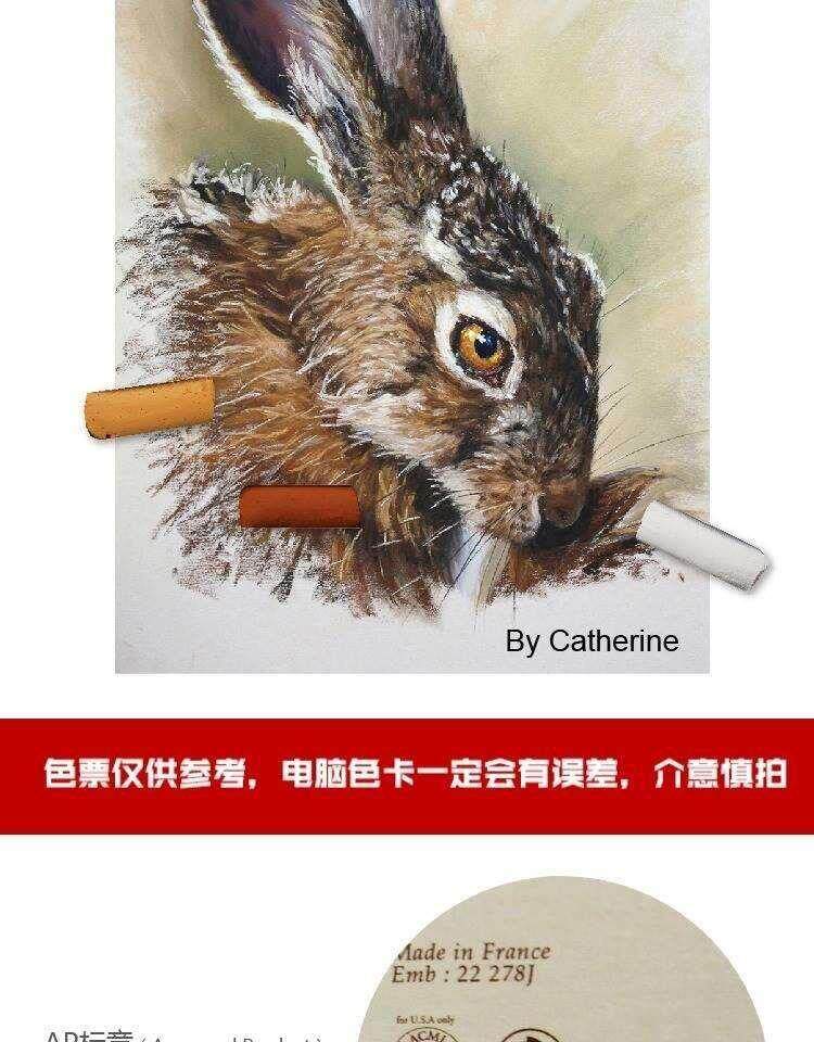 Красный шарф 法国sennelier申内利尔色粉手工粉彩20色30色80色120色人像风景色