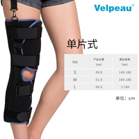 Одно коленные ветви