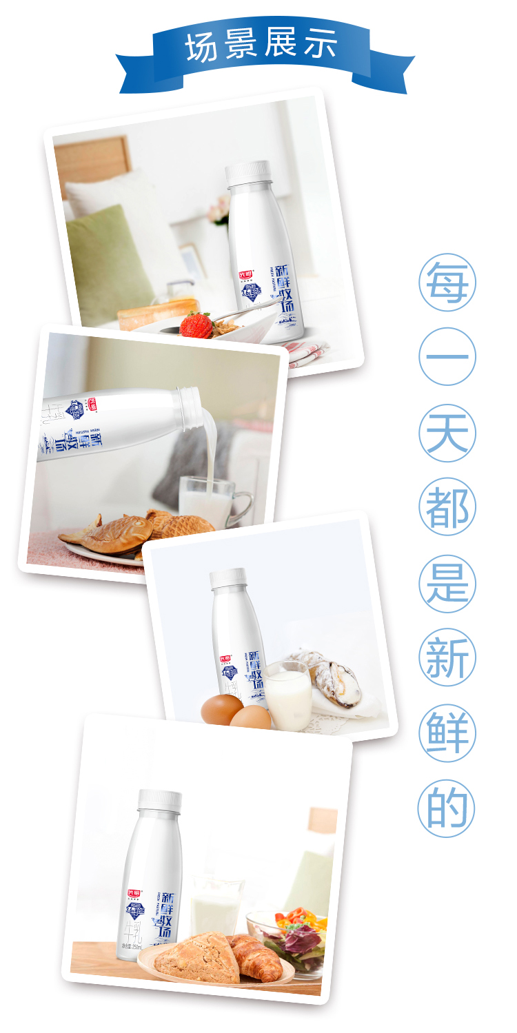 光明 新鲜牧场高品质牛乳250ml*8瓶 图5