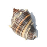 Натуральный декор из смолы ручной работы, сменный декор для аквариума, DIY