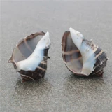 Натуральный декор из смолы ручной работы, сменный декор для аквариума, DIY