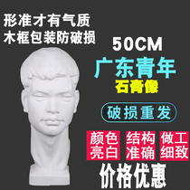 Guangdong youth plaster art sketch craft sketch tool painting model statue sculpture studio ornaments