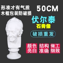 Voltaire plaster Avatar sketch art sketching tool student painting model sculpture orbage still life bust