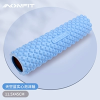 Sky Blue Ginkgo Shinxin 45 см